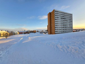 Ski in ski out 2bdr apartment